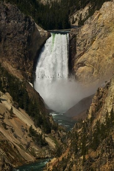 Lower Yellowstone Falls