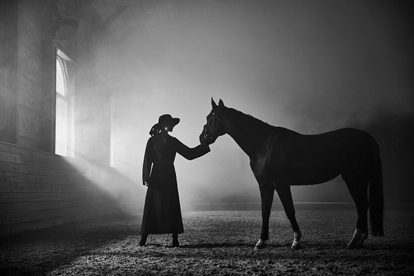 HORSE16184 - Lindsay Adler Beauty Photographer