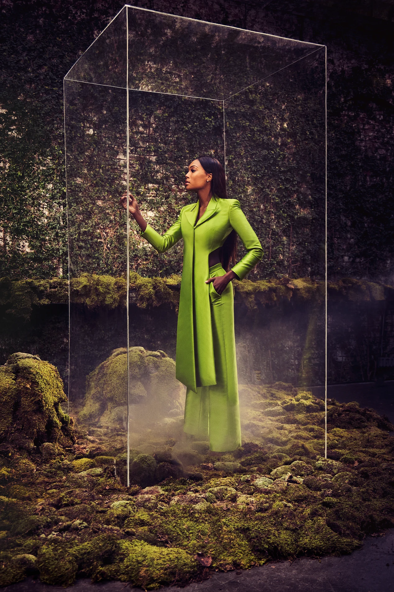 green transparent dress Green Botanical Sheer Overlay Maxi Dress