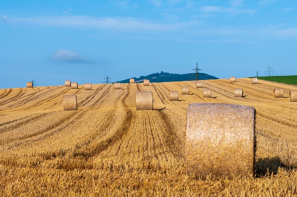 Wheat field after harvest II - Foto Buchacher by Peter Buchacher, Wien