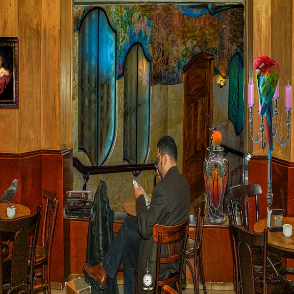 THE PARROT COFFEE BAR - DREAM LAND - Pierre Pevsner Photography 