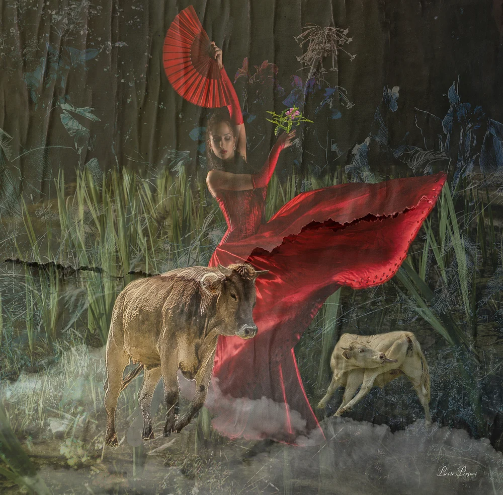 DANCING IN THE MARSHES