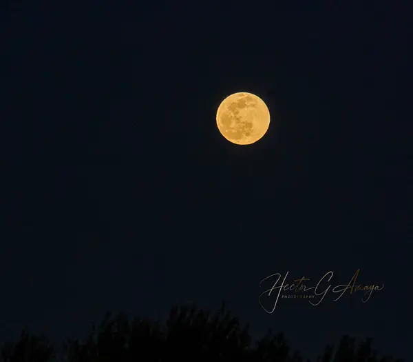 Moon 2022-05-03-83 by HectorGAmayaPhotography