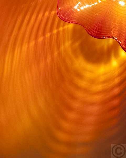 chihuly_4_MG_8342
