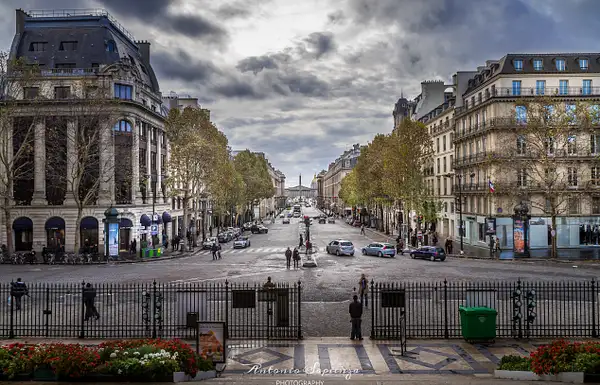 Paris by photoantonsap