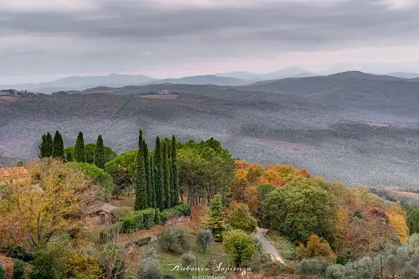 Autumn in Tuscany - Montalcino by photoantonsap