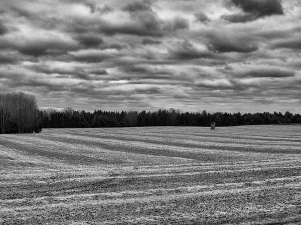 Field - Black and White - That Moment, Click 