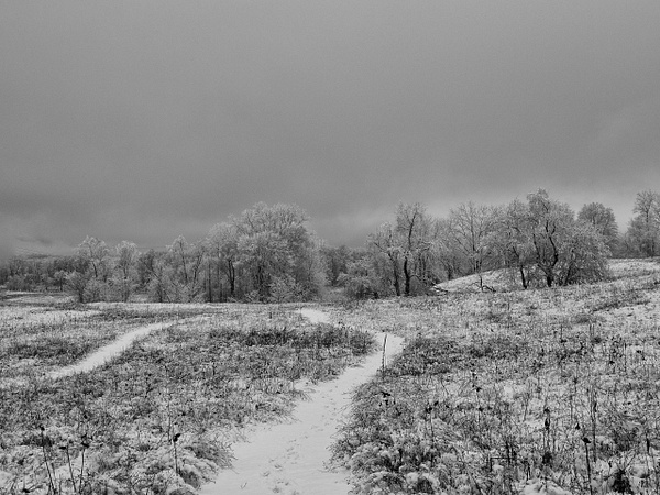 Winter Path - Black and White - That Moment, Click 