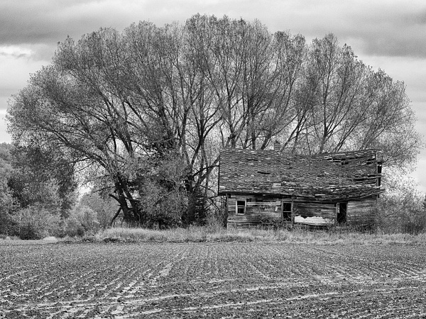 Farmhouse - Black and White - That Moment, Click