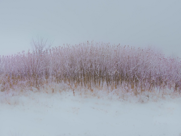 Winter Motif - Landscape - That Moment, Click