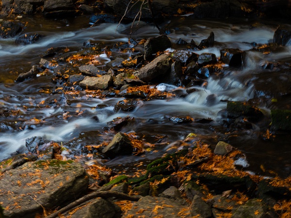 Hidden River #4 - That Moment, Click – Laura Higle Photography 