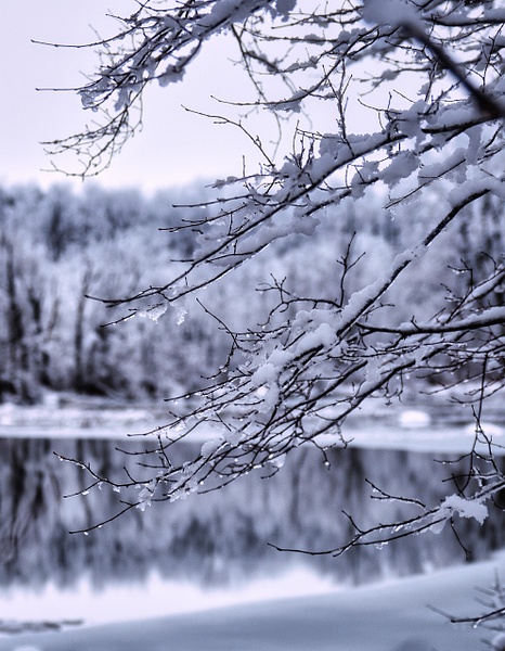 Snowy Vista - Landscape - That Moment, Click