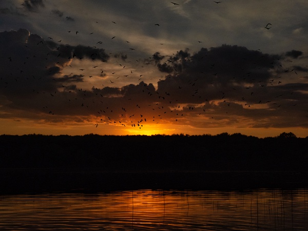 Sunset 2020 - Landscape - That Moment, Click 