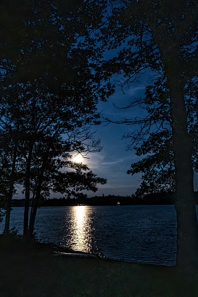 Moonlight Reflections - Night Photography - That Moment, Click 