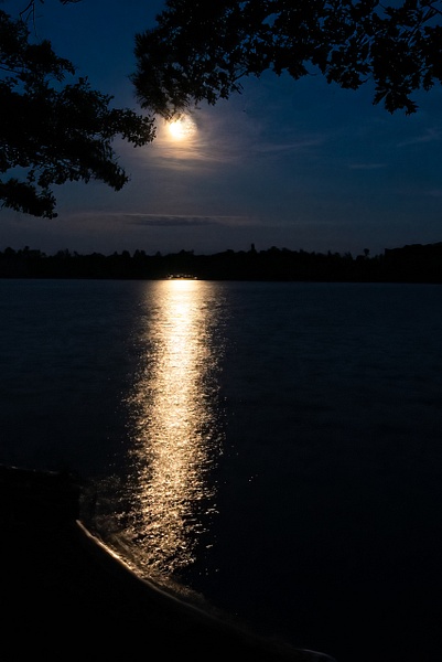 Moonlight Lake Wave - Night Photography - That Moment, Click 