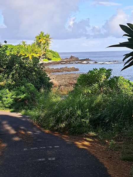 Road Overlooking Ocean - Hawaii - That Moment, Click – Laura Higle Photography