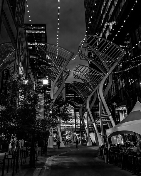 TD Square at Night Calgary, Alberta - Calgary,Alberta - MichaelBrownPhotography 