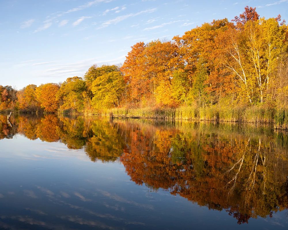 Reflections of Autumn Color at Wye River - Andy