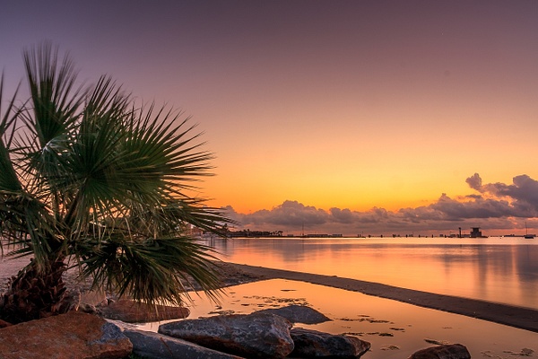 Palm tree sunrise - Øyvind Dammen
