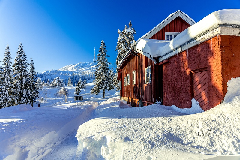 Norwegian winterwonderland