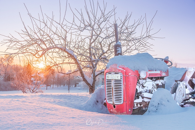 Winter sceneary  Frozen Tractor