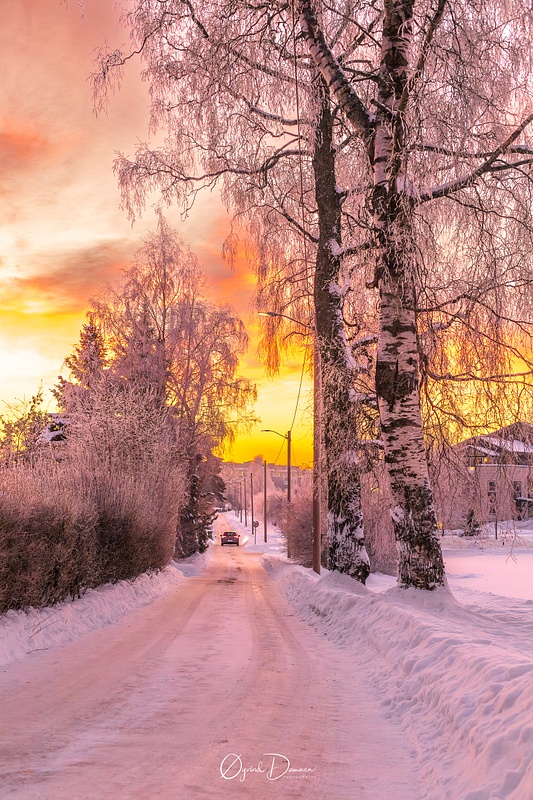 Winter sceneary - snowy road