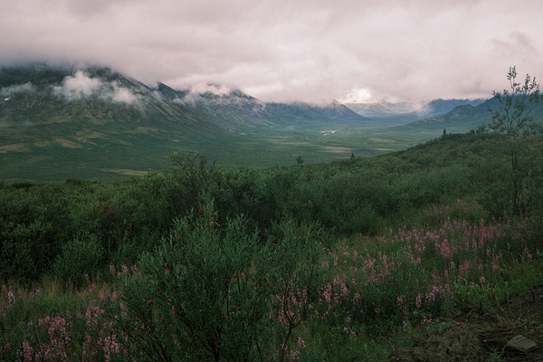 Dempster Highway 2025 - Dempster Highway - Kellyhaybittle.photography