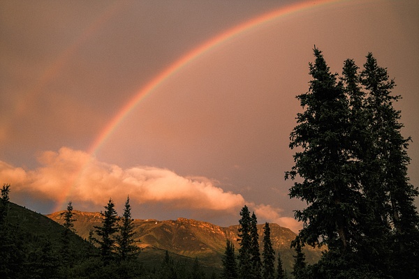 Dempster Highway 2025 - Dempster Highway - Kellyhaybittle.photography