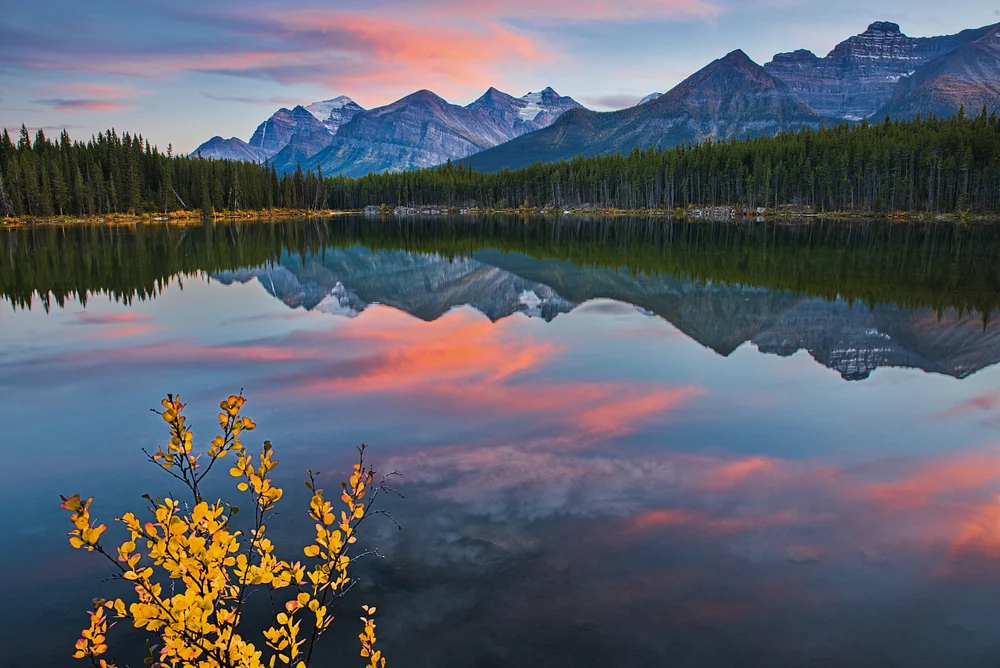 Herbert Lake