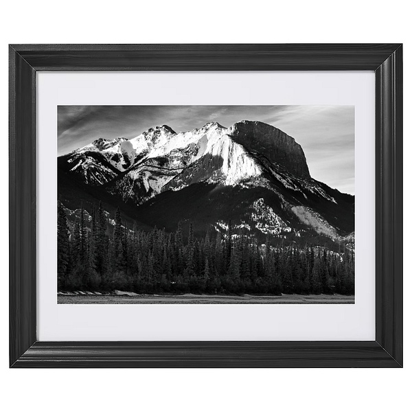 Jasper - Framed Prints - KLVPhotography 
