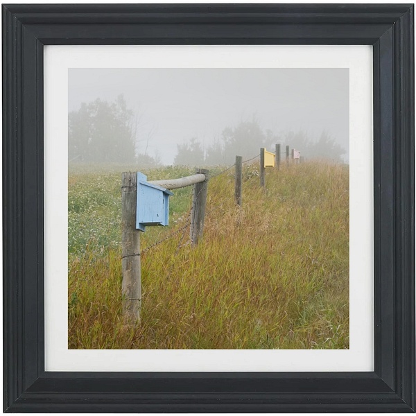 Country Birdhouses - Framed Prints - KLVPhotography