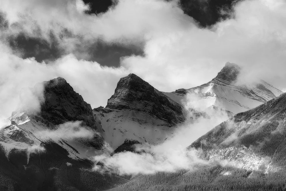 _DSC0246-B&W