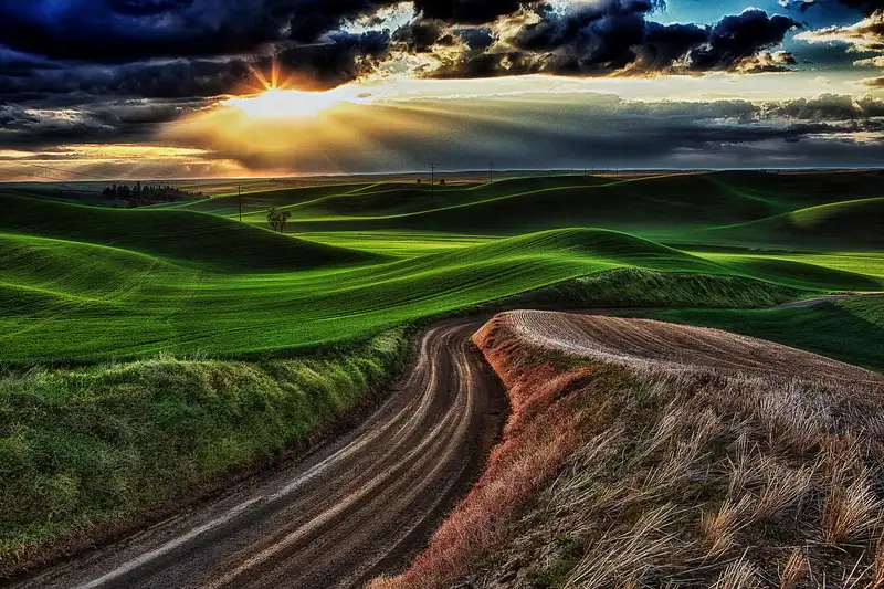 _Q5A9118 Evening Glow on the Palouse