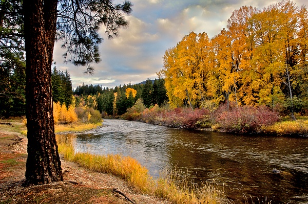 _GMH9156 River Flows Through Autumn Colors - Gary Hamburgh Photography 