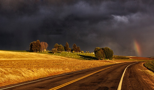 _GMH6893 Threatening Sky over Cemetery - Palouse - Gary Hamburgh Photography