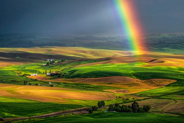 _6010515 Rainbow on the Palouse - Gary Hamburgh Photography 