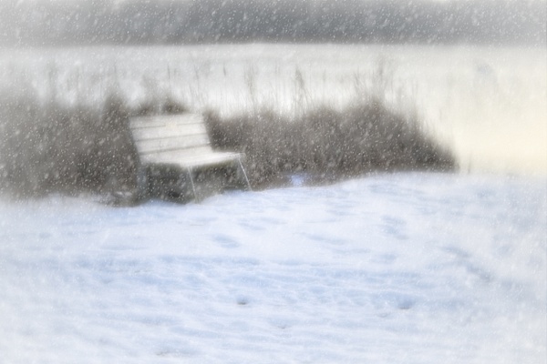 Winter Chill - States of Being - Linda DeStefano Brown - Fine Art Photographer