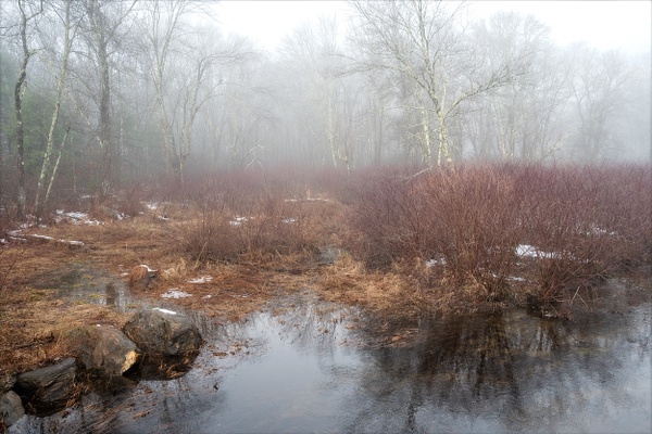 Distant Fog - The Seasons - Linda DeStefano Brown - Fine Art Photographer
