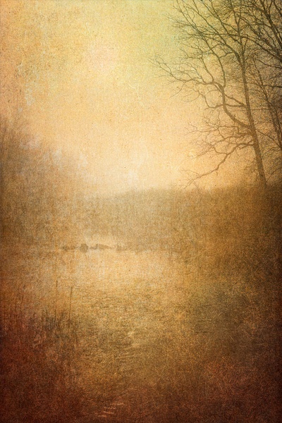 Morning Breaks - The Seasons - Linda DeStefano Brown - Fine Art Photographer 