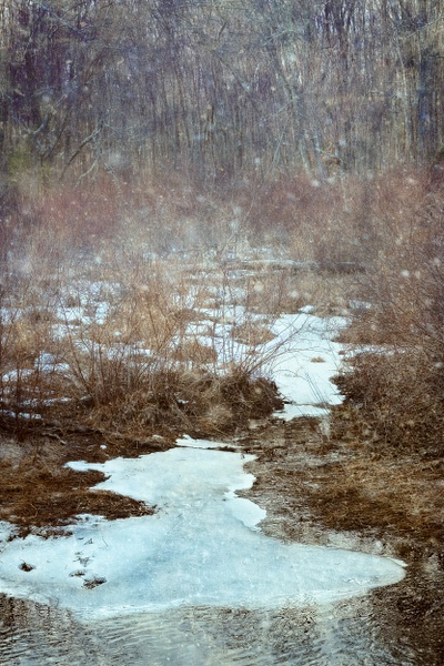Winter Creep - The Seasons - Linda DeStefano Brown - Fine Art Photographer 