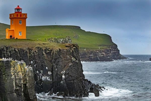 Grimsey Island Lighthouse - Lynda Goff Photography
