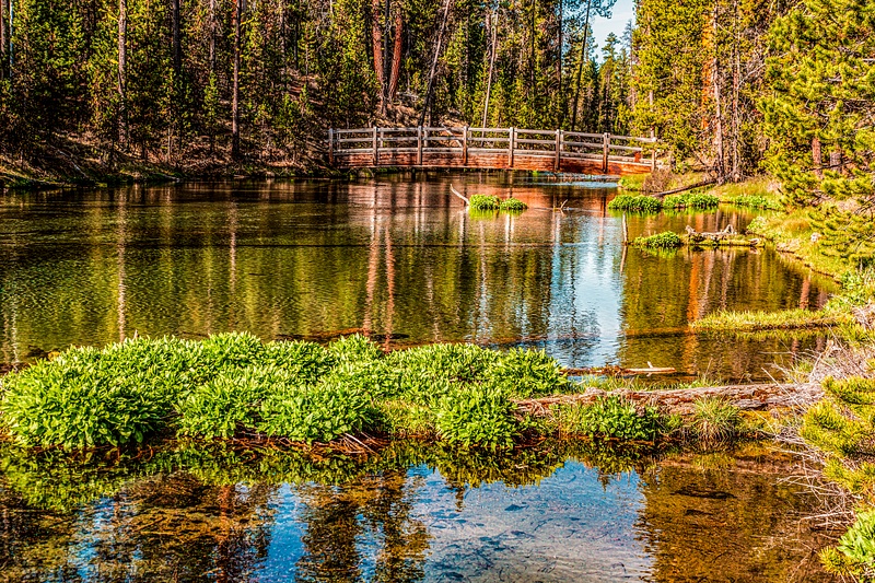 41 Fall River's Remote Campground in Central Oregon
