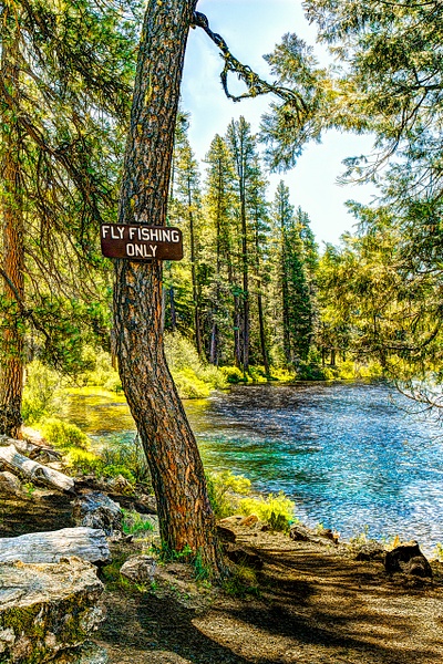 Fly Fishing Only on the Metolius River (Bridge 99) - MORE: Oregon Smiles - Ron Wolf Photography