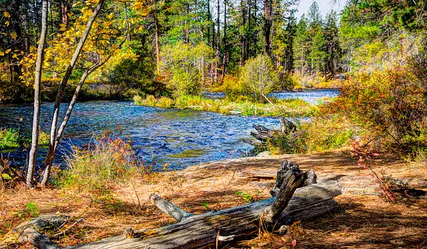73 Metolius River near Camp Sherman by Ron Wolf