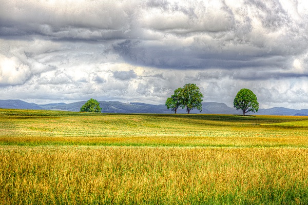 Soft Storm Clouds in Oregon's Willamette Valley - MORE: Oregon Smiles - Ron Wolf Photography