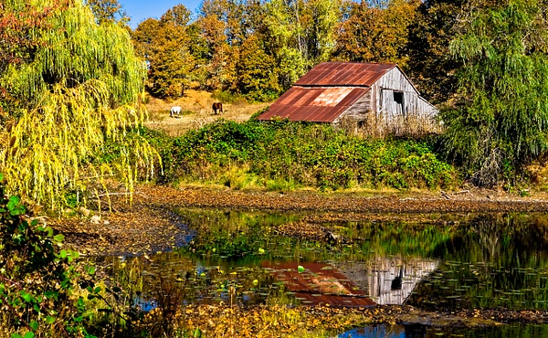 Horse Barn Reflection Pond - Oregon Smiles (Landscape) - Ron Wolf Photography 
