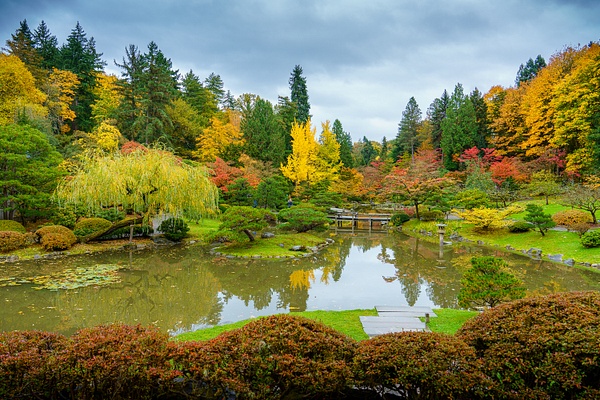 Autumn Splendor at the Seattle Japanese Garden