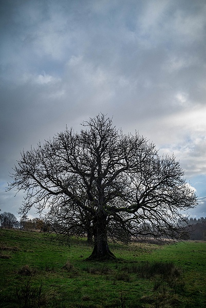 DSC_0827 - Landscapes - Thomas A Gorman Photography