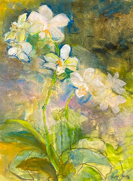 The Orchid - Home - Jacquelyn Sloane Siklos