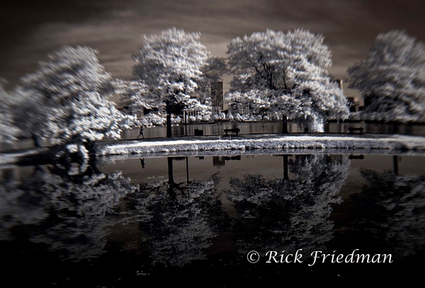 Charles River Esplanade in Boston  by Rick Friedman - Infrared - Rick Friedman Photography 